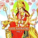Aaye Navrate Vol. 2 - Punam Tyagi Song Download